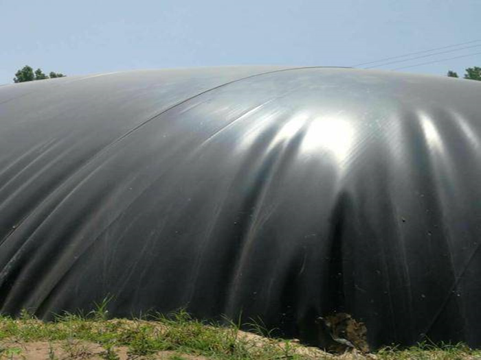 朝阳养猪场沼气池也使用防渗土工膜：