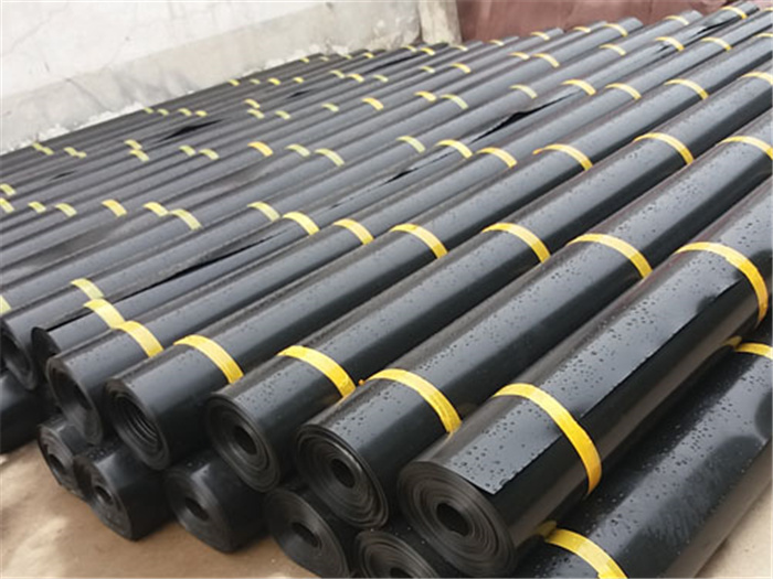 朝阳养猪场污水池1.5mmHDPE土工膜的推广使用