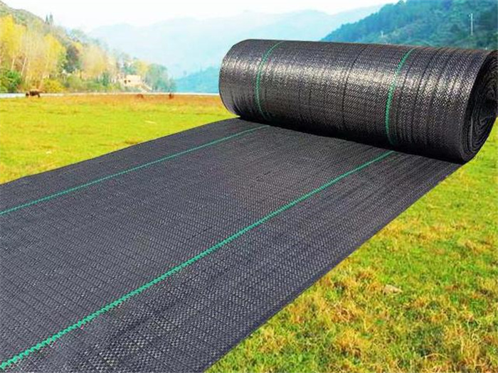海淀防草布在果园行间覆盖的作用